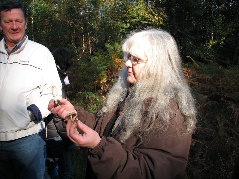 Mares au vinaigre 17